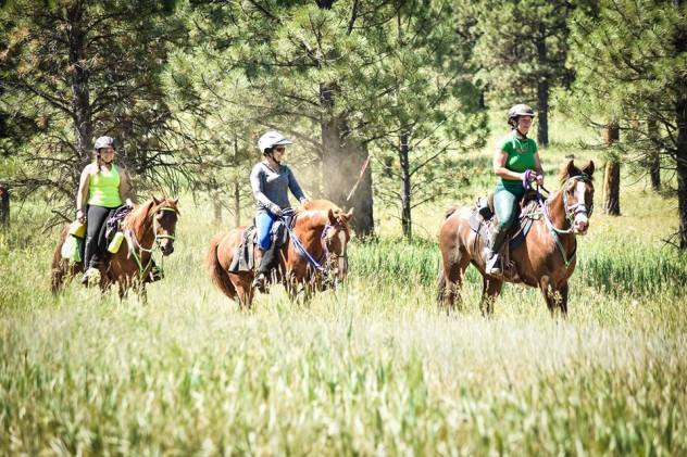 23172586_10100203276798736_1889157532067889924_n