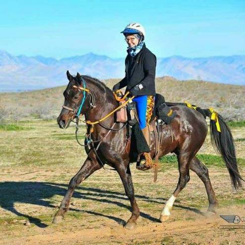 24796390_10100212315430246_7854106099753775909_n