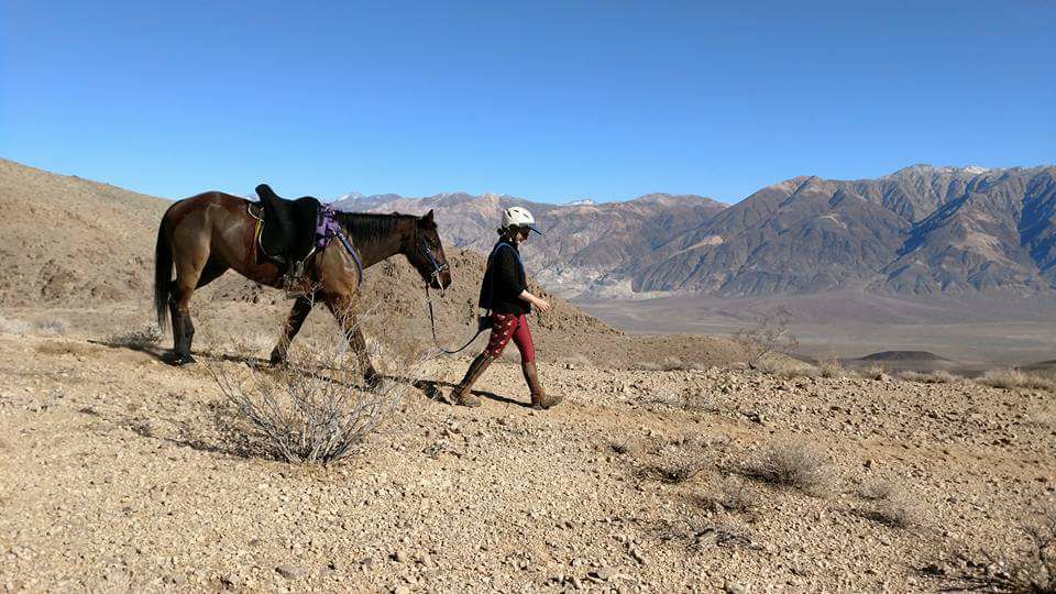 25552287_10100216367295276_8390674894191721338_n