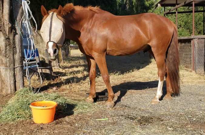 69858637_10100364585569666_8007274204728655872_n