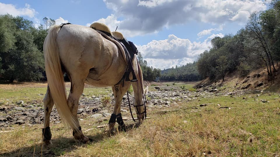 71233009_10100369207951376_5878788657367744512_n