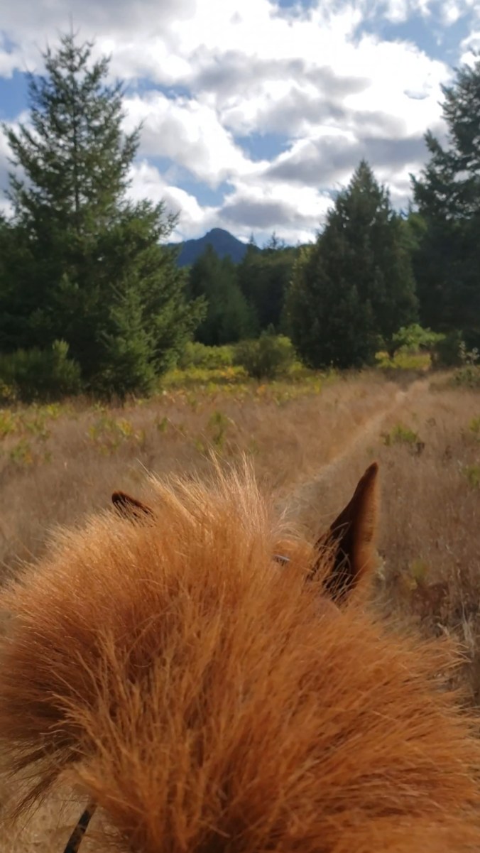 Screenshot_20190908-163235_Video Player