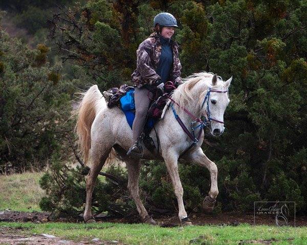 1797500_745552769386_1803048344_n